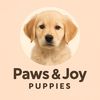 pawsandjoypuppies