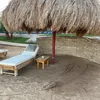 summerlover1237