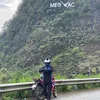 nobitafl