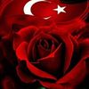 mustafakoc418