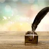 karim3112