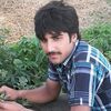 yasircheema408
