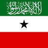 ahmed.lotery