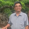 vinhdinh715