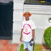 mashh_rsa101