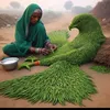 tahamahamad466