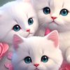luckynine73