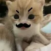 nemui_kao