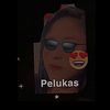 jr.pelukas217