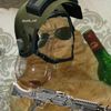 real_drunk_cat