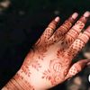 mohammad.alim74