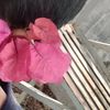 fic10nalism