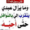 user77690735541142