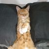 sheluvs.melol