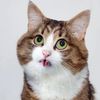 emymeowwww