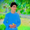 janfolad1