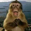 kuronsogoodd
