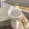elperroslockos