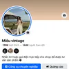 miêu vintage
