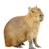 capivara696