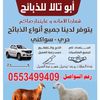 mh_m909