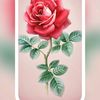 user3002536751023