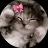 raisa74920