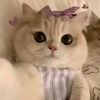 amara_harris09
