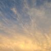 winds276