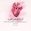 nawarh.mohammed247