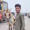 sajidalisolangisahab