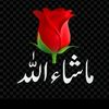 user3340591960061