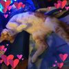 little_ranga2
