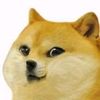 .karlzkittem