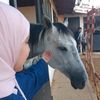 mnl.eabk
