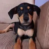 martavalria2