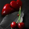 sq_mi28r