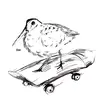 meeepbird