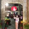 nhiphung743
