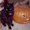 0_lizzy.louise_7