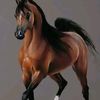 .user2861313697259