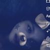 novitha219