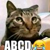 adityagall