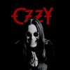 metallozzya