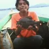 andreehamami