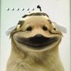 nunupetslife