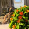 preciousmoore12