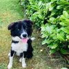 eileenodwyer11