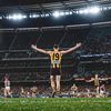 hawks_fan8