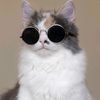 meowweehh